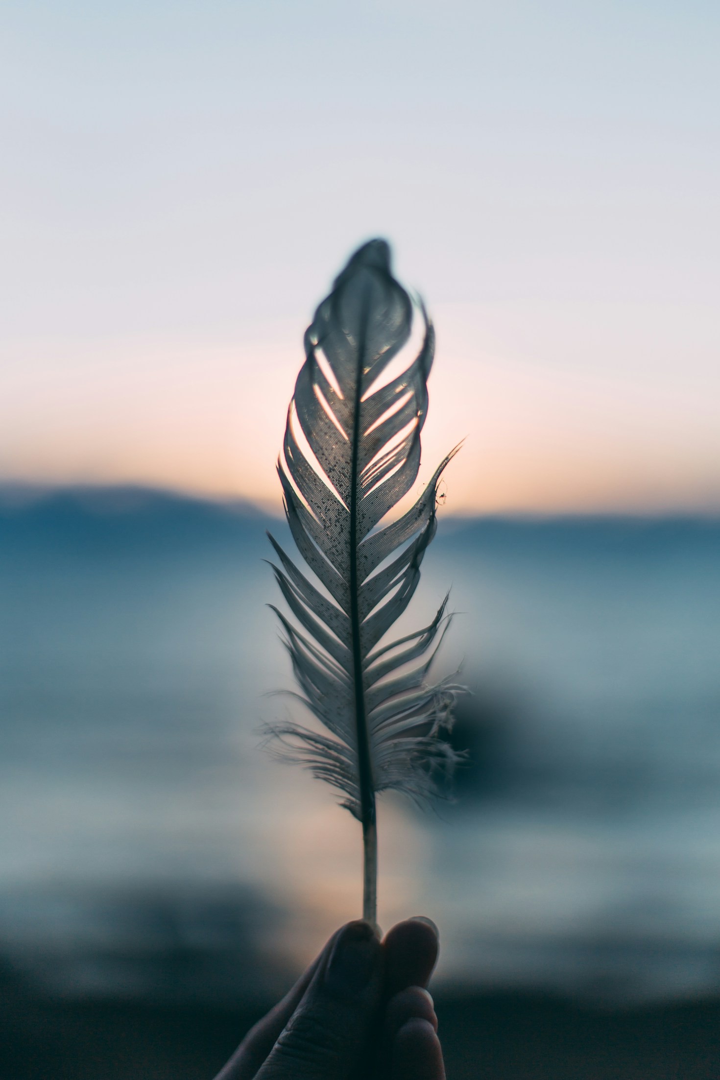 Navigating the Path of Resilience After Trauma