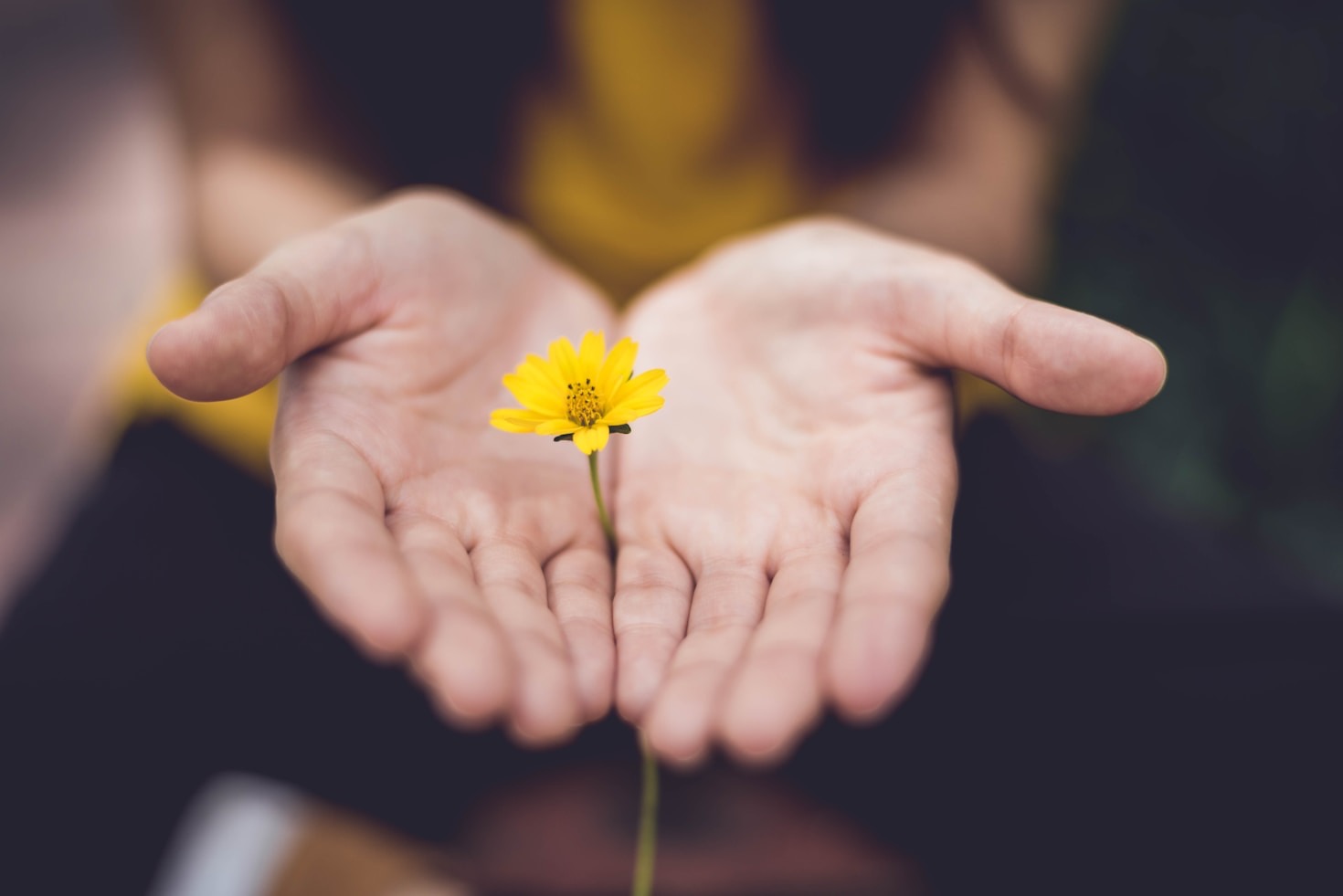 The Role of Compassion in Trauma Recovery