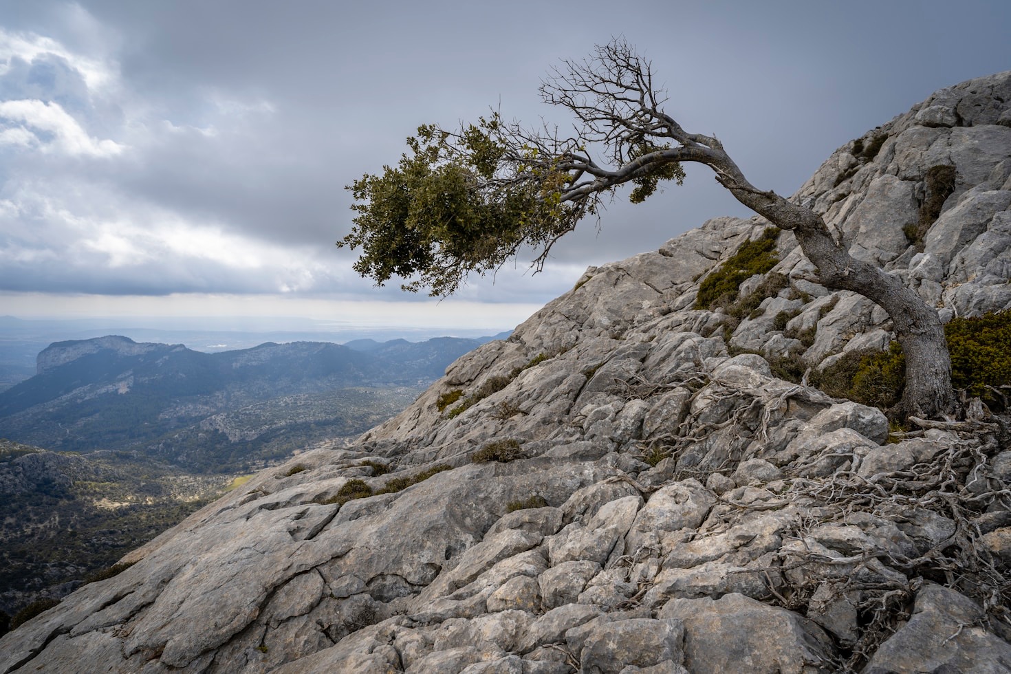Personal Reflections on Turning Pain Into Strength